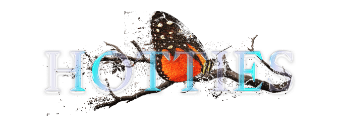 Join the HOTTIES channel